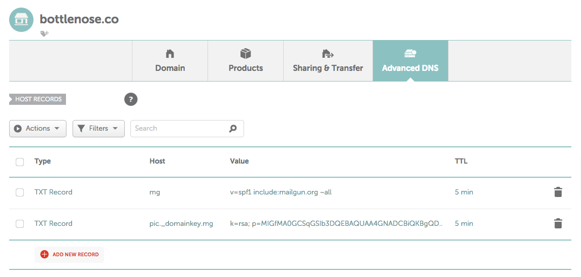 Namecheap Advanced DNS TXT Records Screen Shot